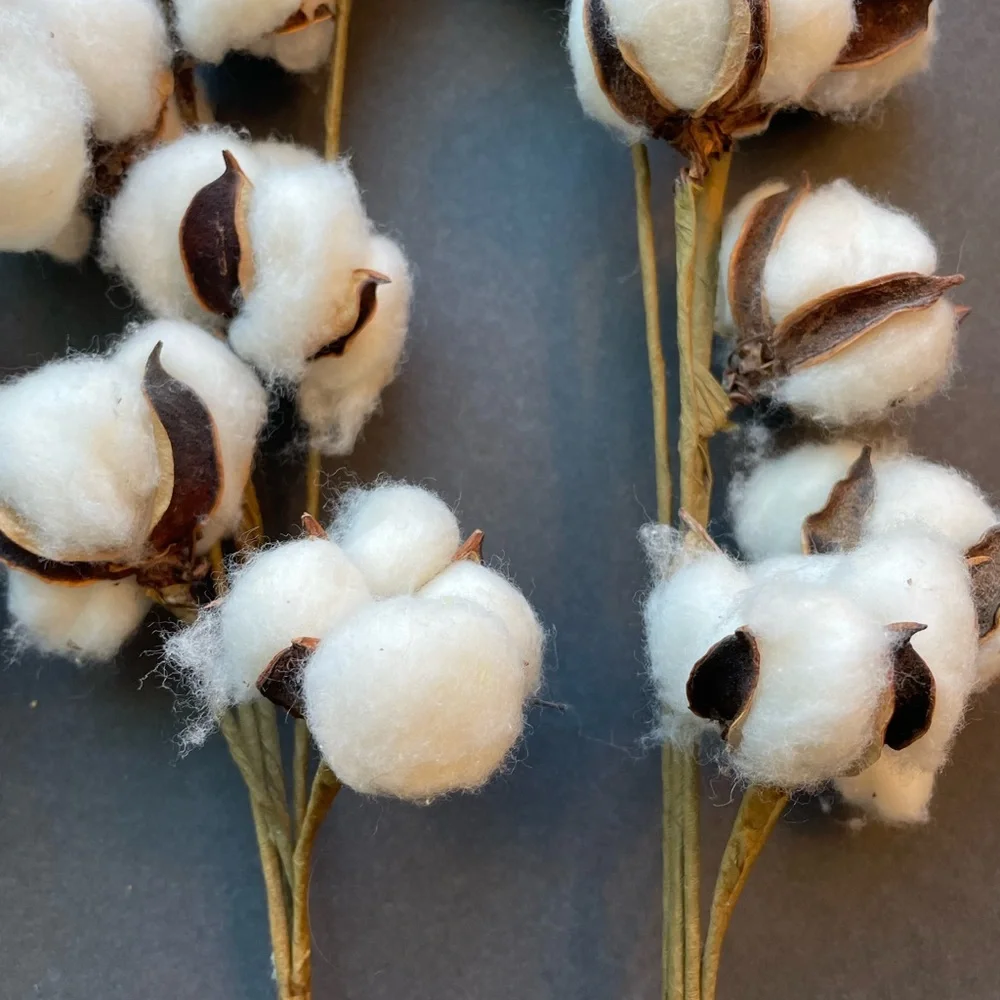 Faux cotton sprigs. White and brown. Farmhouse shabby chic. Lot of three.